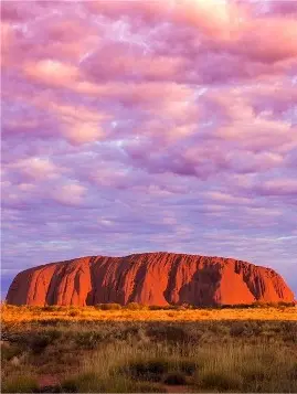 Holiday experience in Australia GUMI Events: unique holiday experience in Australia