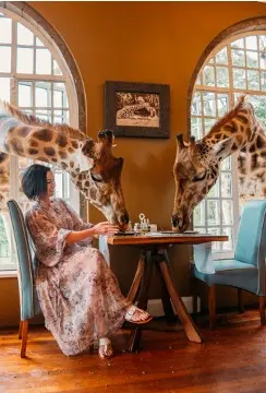 Holidays in a safari GUMI Events: exclusive holidays in a safari